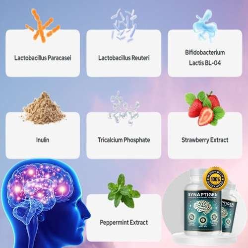 Synaptigen Ingredients